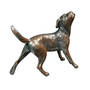 brilliant bronze border terrier UK BBTBZ a main