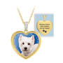 pawprints on my heart crystal westie pendant UK WCZDP a main