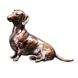 tiny sausage dachshund bronze UK TSDB a main