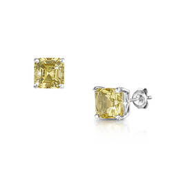 citrus silver studs UK CISS a main