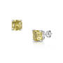 citrus silver studs UK CISS a main