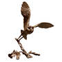 taking off bronze barn owl UK TOBBO a main