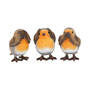 mystic robin trio UK MROT a main