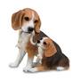 puppy love beagle UK PLBGL a main