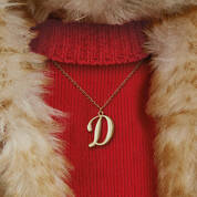 Steiff Del Bear UK SDELB2 b closeup necklace
