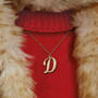 Steiff Del Bear UK SDELB2 b closeup necklace