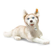 dui the siberian husky by steiff UK STHUSK a main