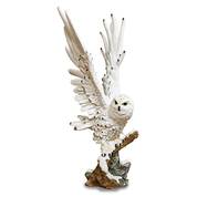 winter wings snowy owl UK WWSO a main