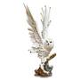 winter wings snowy owl UK WWSO a main