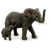 wait up elephant and calf UK WUECM a main