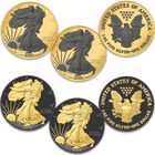 ruthenium gold highlight american eagle silver dollars ERG B Coin