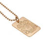 the liverpool fc gold plated dog tag UK LVGDT a main