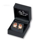 crystal robin earrings UK CROE b two