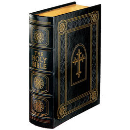 The Rembrandt Family Bible 0251 1