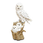 FROSTY FAMILY SNOWY OWLS UK FFSO a main