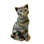 true blue tabby cat UK TBTBY a main