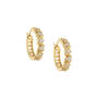 Dazzling Huggie Hoops Five Earring Set 11555 0014 d earing