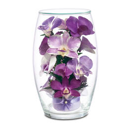 miracle orchid bouquet UK MORCB2 a main