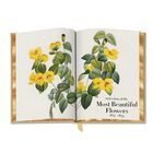 redoute the book of flowers UK RTBF b two