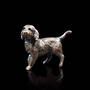 precious pooch bronze cockapoo UK PPBC a main