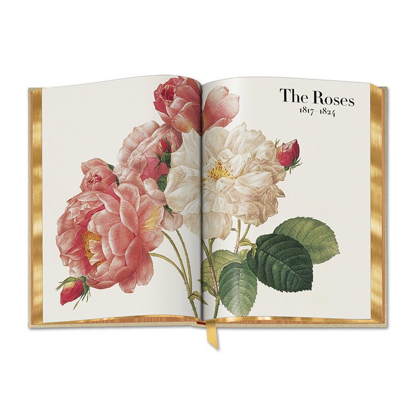 redoute the book of flowers UK RTBF d four