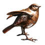 ruffled feathers bronze robin UK RFBR a main