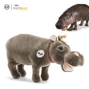 national geographic hippo hedda UK SNGH a main