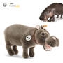 national geographic hippo hedda UK SNGH a main