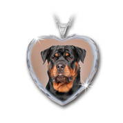 the rottweiler crystal heart pendant UK RWHP2 a main
