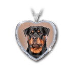 the rottweiler crystal heart pendant UK RWHP2 a main