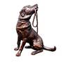 imploring eyes labrador UK IEL a main