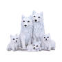 winter wolf pack UK WWPF a main