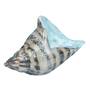 oceans call glass sea shell UK OCGSS a main