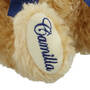 Steiff Camilla Bear UK SCQCB2 c closeup foot