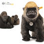 national geographic gorilla boogie UK SNGG a main
