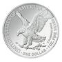 the 2021 first year flying american eagle silver dollar UK N21D b two