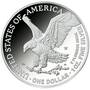 2022 proof flying american eagle silver dollars E22 c Coin