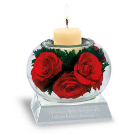 love always miracle roses UK LAMR a main