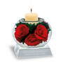 love always miracle roses UK LAMR a main