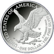 2021 first year proof flying american eagle PR1 b Coin
