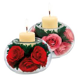 miracle roses candles UK MRTC a main