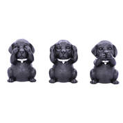 mystic black labrador trio UK MBLT a main