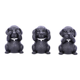 mystic black labrador trio UK MBLT a main
