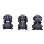 mystic black labrador trio UK MBLT a main