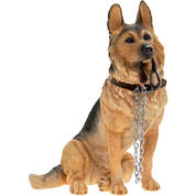 lets go german shepherd UK LGGS a main