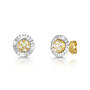 timeless 9ct gold stud earrings UK TIGSE a main