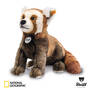 bendi the steiff national geographic red panda UK SNGRP a main