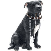 Lets Go Staffie UK LGSBL a main