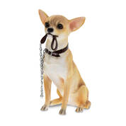 lets go chihuahua UK LGCH a main