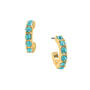 Seven Shades of Wonderful 14-Pair Earring Collection, Seven Shades of Wonderful 14 Pair Earring Collection 12175 0012 b earring